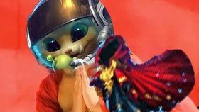 国产动画ed视频,视觉盛宴与情感共鸣的完美融合