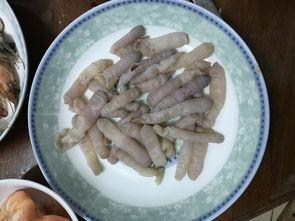 国产象拔蚌视频