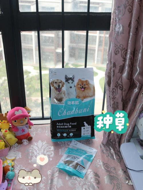 国产美毛狗粮视频,守护宠物毛发健康，尽享丝滑护理之旅