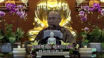 国产法师比赛视频直播,直播盛宴回顾