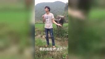 国产福利视频4,揭秘国内影视新潮流  第2张