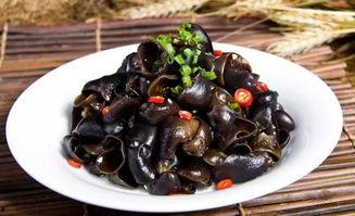 黑木耳免费视频观看国产,免费畅享黑木耳养生视频盛宴  第1张