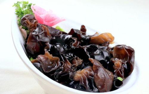 黑木耳免费视频观看国产,免费畅享黑木耳养生视频盛宴  第3张