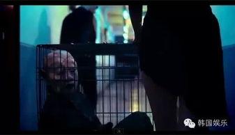 国产19禁在线视频  第1张