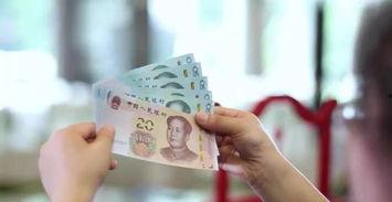 支持国产人民币视频