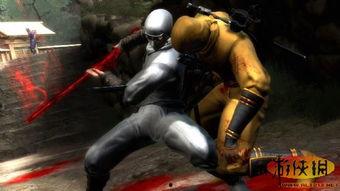 国产视频忍者龙剑传