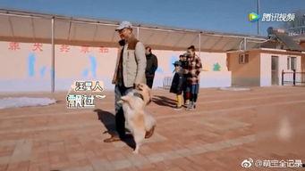 偶遇国产小鲜肉视频,国产小鲜肉风采瞬间