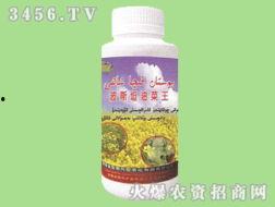 新疆国产油产品介绍视频,品质卓越，疆域瑰宝